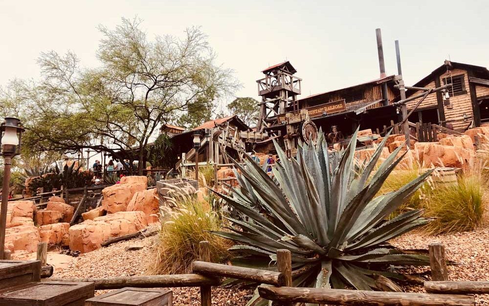 Big Thunder Mountain Railroad Queue Landscape